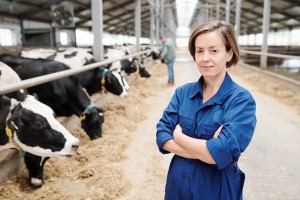 Young female worker of contemporary dairy farm